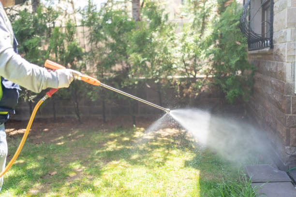 Wasp Removal Services in Kapaa, HI
