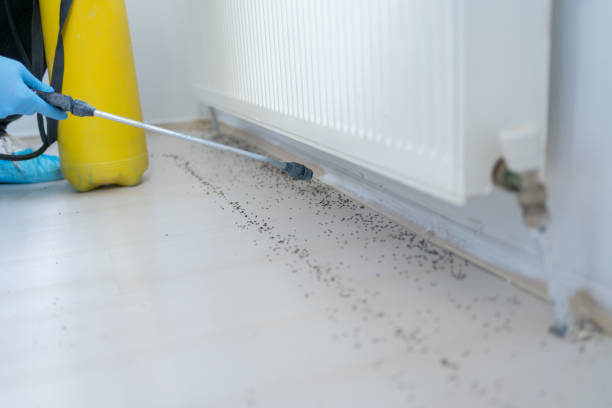 Best Best Pest Control Companies  in Kapaa, HI